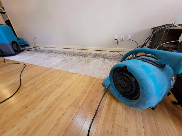 Professional Sewage Cleanup technician working in Snyder, TX